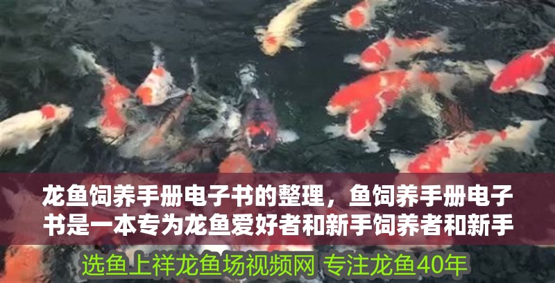 龍魚飼養手冊電子書的整理，魚飼養手冊電子書是一本專為龍魚愛好者和新手飼養者和新手飼養者設計的指南