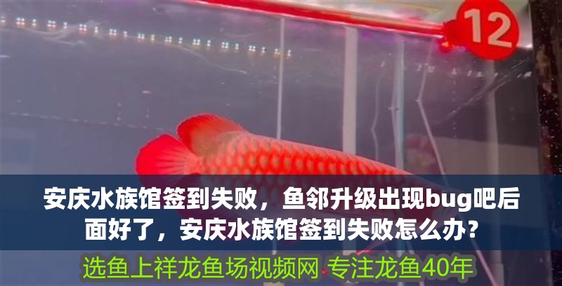 安慶水族館簽到失敗，魚鄰升級出現(xiàn)bug吧后面好了，安慶水族館簽到失敗怎么辦？