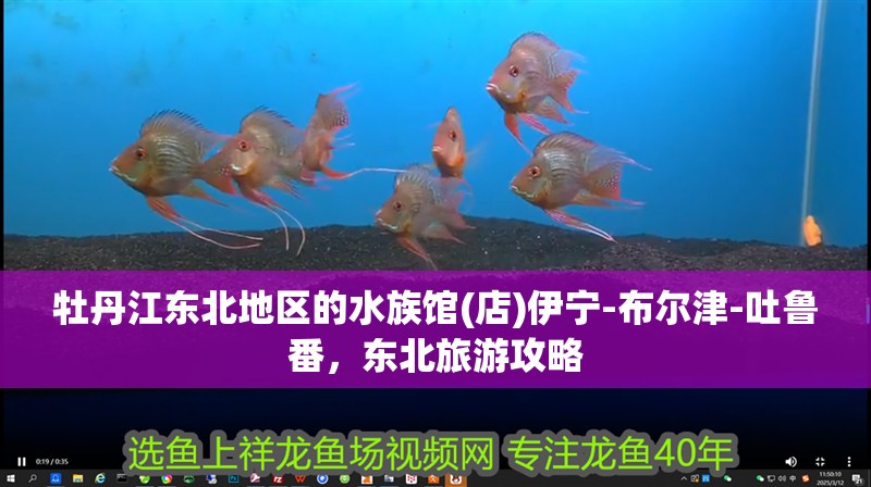 牡丹江東北地區的水族館(店)伊寧-布爾津-吐魯番，東北旅游攻略