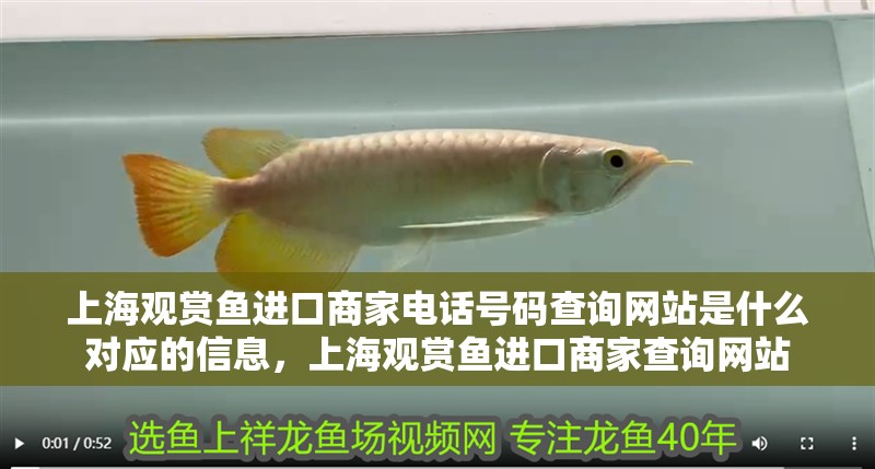 上海觀賞魚進口商家電話號碼查詢網站是什么對應的信息，上海觀賞魚進口商家查詢網站