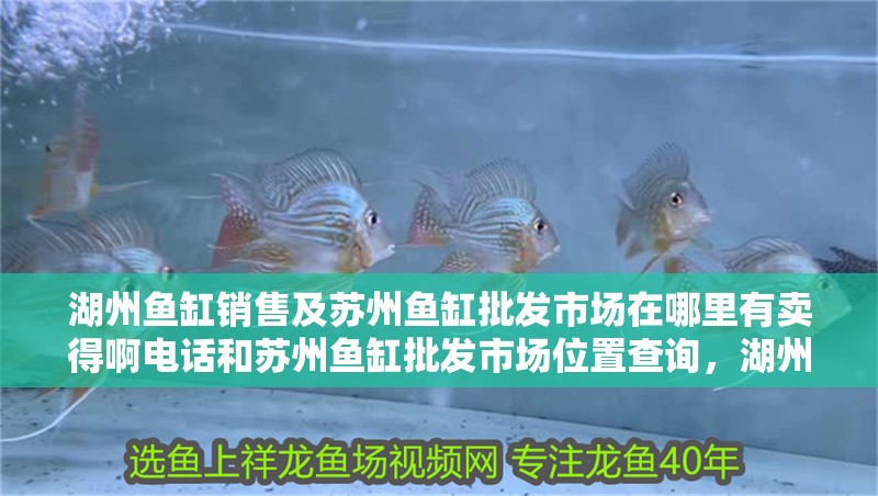 湖州魚缸銷售及蘇州魚缸批發市場在哪里有賣得啊電話和蘇州魚缸批發市場位置查詢，湖州魚缸哪里有賣得啊電話
