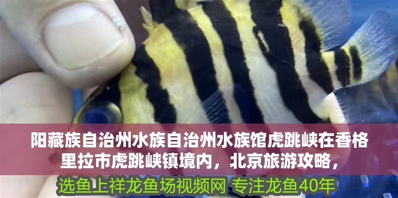 陽藏族自治州水族自治州水族館虎跳峽在香格里拉市虎跳峽鎮境內，北京旅游攻略，