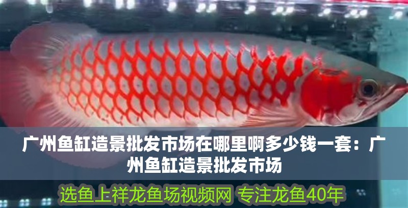 廣州魚缸造景批發市場在哪里啊多少錢一套：廣州魚缸造景批發市場