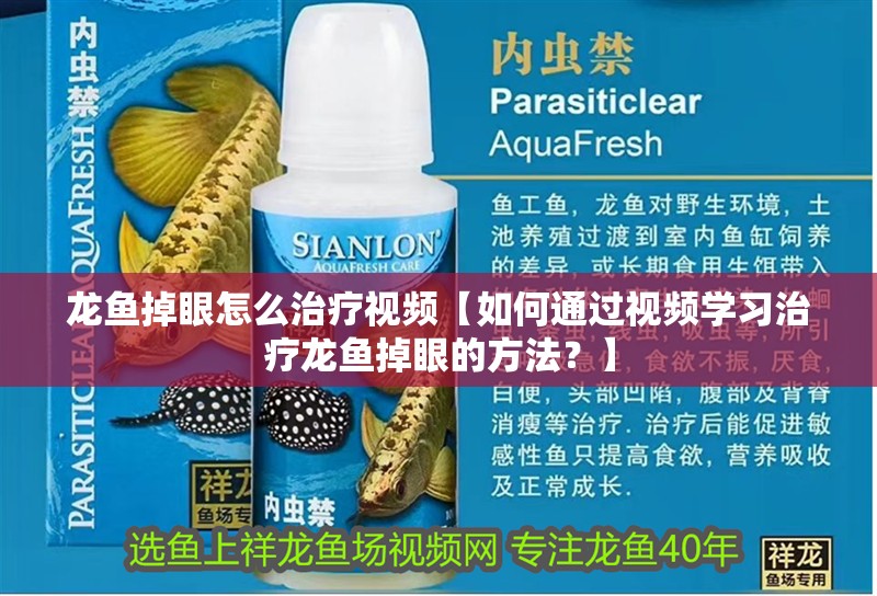 龍魚(yú)掉眼怎么治療視頻【如何通過(guò)視頻學(xué)習(xí)治療龍魚(yú)掉眼的方法？】