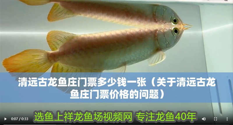 清遠古龍魚莊門票多少錢一張（關于清遠古龍魚莊門票價格的問題）