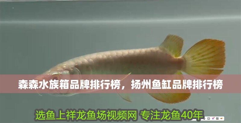 森森水族箱品牌排行榜，揚州魚缸品牌排行榜