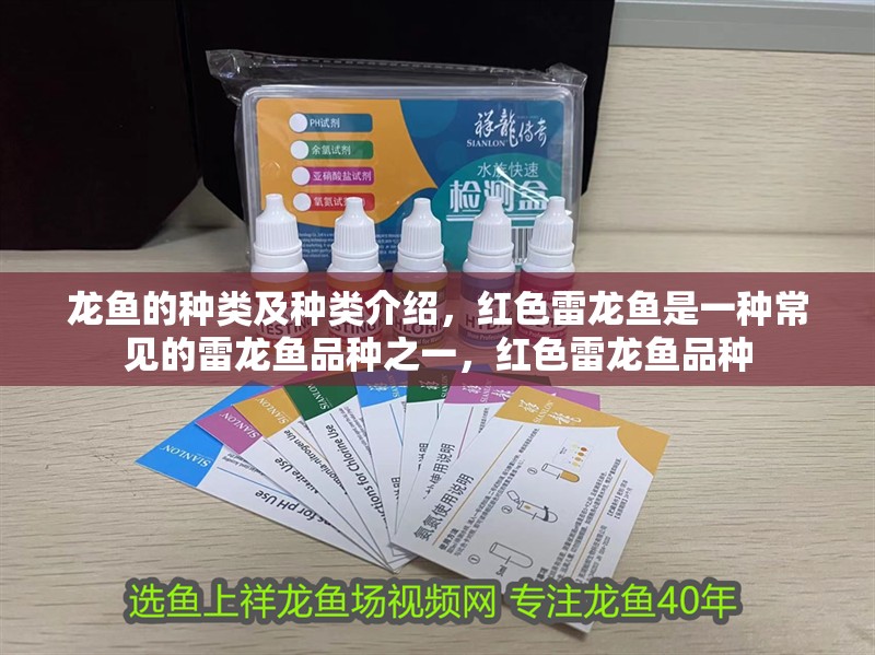 龍魚的種類及種類介紹，紅色雷龍魚是一種常見的雷龍魚品種之一，紅色雷龍魚品種