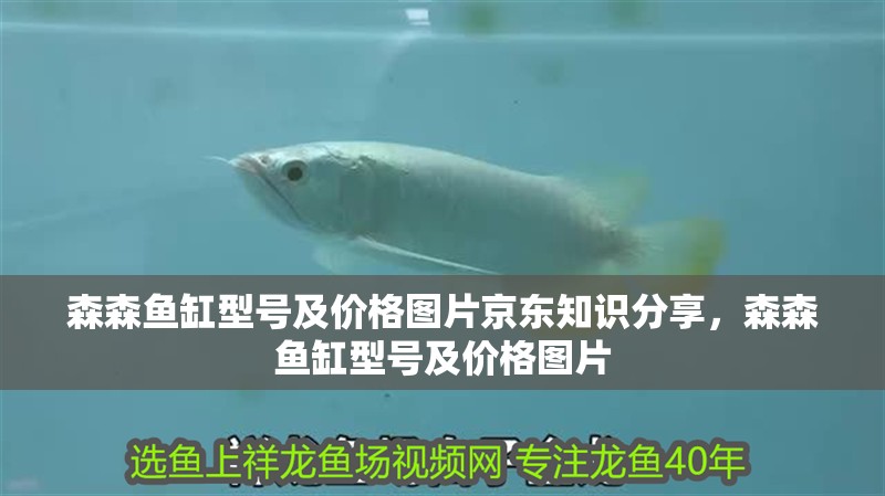 森森魚(yú)缸型號(hào)及價(jià)格圖片京東知識(shí)分享，森森魚(yú)缸型號(hào)及價(jià)格圖片