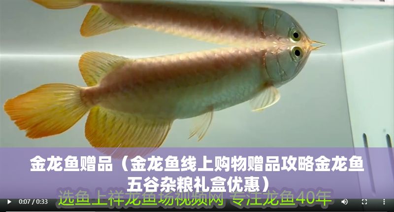 金龍魚贈品（金龍魚線上購物贈品攻略金龍魚五谷雜糧禮盒優惠）