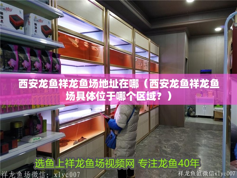西安龍魚祥龍魚場地址在哪（西安龍魚祥龍魚場具體位于哪個區域？）