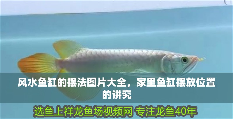 風水魚缸的擺法圖片大全，家里魚缸擺放位置的講究