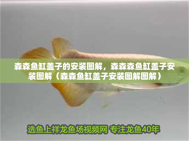 森森魚缸蓋子的安裝圖解，森森森魚缸蓋子安裝圖解（森森魚缸蓋子安裝圖解圖解）