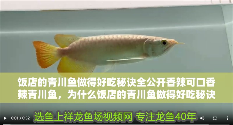 飯店的青川魚做得好吃秘訣全公開香辣可口香辣青川魚，為什么飯店的青川魚做得好吃秘訣全公開