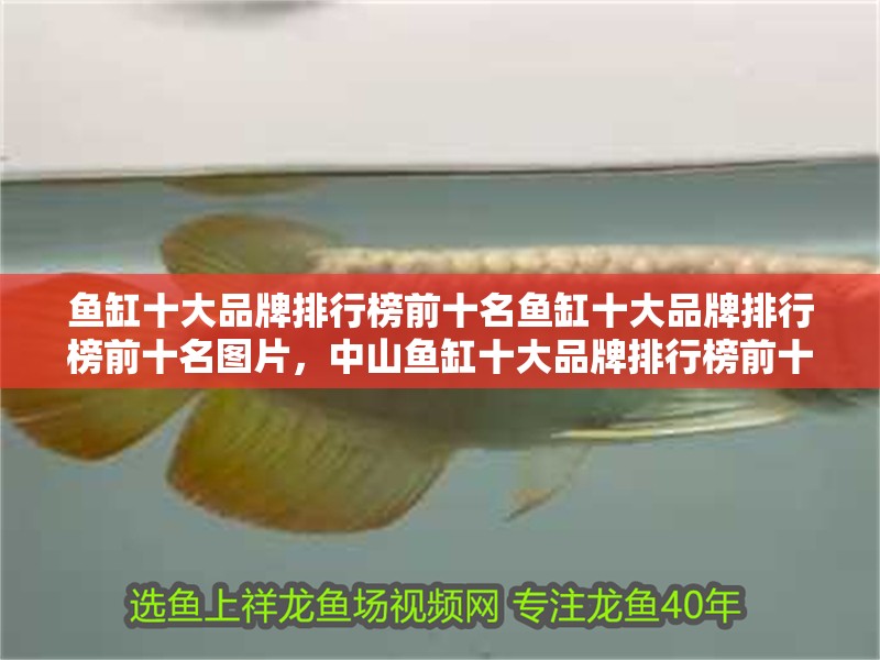 魚缸十大品牌排行榜前十名魚缸十大品牌排行榜前十名圖片，<strong><mark>中山</mark></strong>魚缸十大品牌排行榜前十名圖片