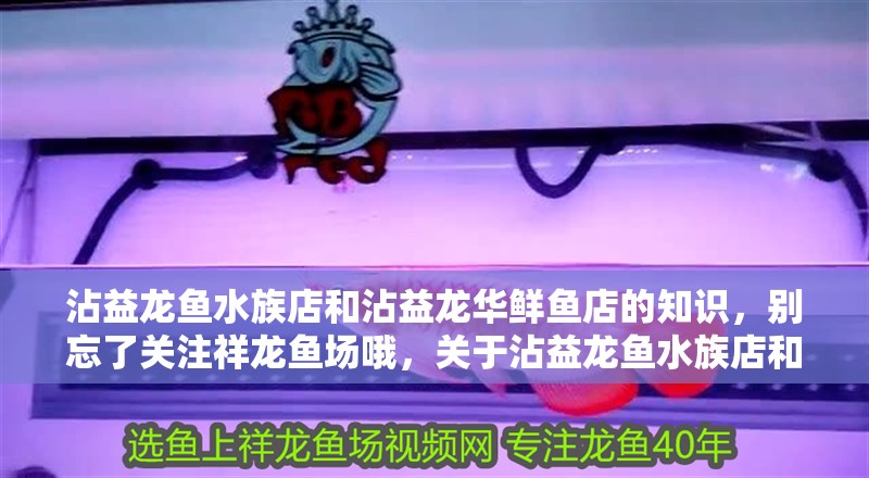 沾益龍魚(yú)水族店和沾益龍華鮮魚(yú)店的知識(shí)，別忘了關(guān)注祥龍魚(yú)場(chǎng)哦，關(guān)于沾益龍魚(yú)水族店和沾益龍華鮮魚(yú)店的介紹