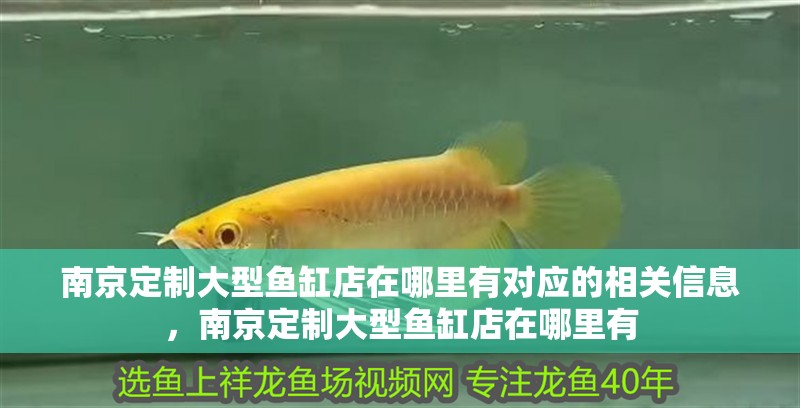 南京定制大型魚缸店在哪里有對應(yīng)的相關(guān)信息，南京定制大型魚缸店在哪里有