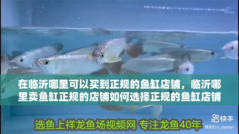 在臨沂哪里可以買到正規(guī)的魚缸店鋪，臨沂哪里賣魚缸正規(guī)的店鋪如何選擇正規(guī)的魚缸店鋪