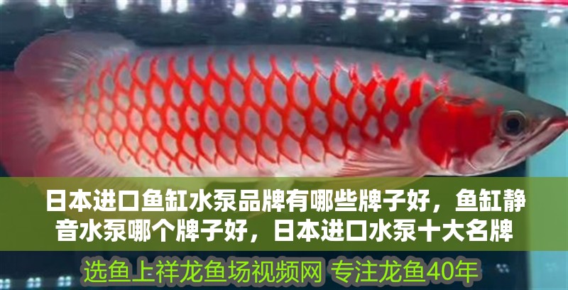 日本進口魚缸水泵品牌有哪些牌子好，魚缸靜音水泵哪個牌子好，日本進口水泵十大名牌