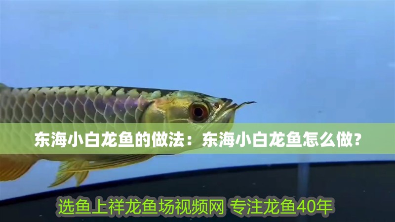 東海小白龍魚的做法：東海小白龍魚怎么做？