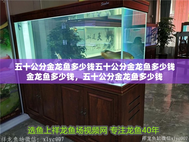 五十公分金龍魚多少錢五十公分金龍魚多少錢金龍魚多少錢，五十公分金龍魚多少錢