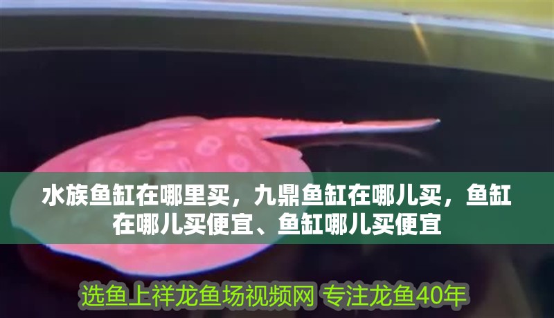 水族魚缸在哪里買，九鼎魚缸在哪兒買，魚缸在哪兒買便宜、魚缸哪兒買便宜