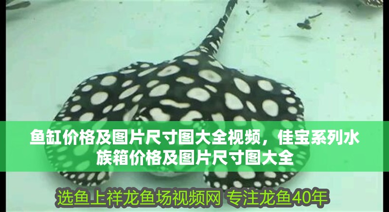魚缸價(jià)格及圖片尺寸圖大全視頻，佳寶系列水族箱價(jià)格及圖片尺寸圖大全