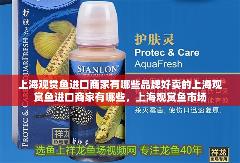 上海觀賞魚進口商家有哪些品牌好賣的上海觀賞魚進口商家有哪些,上海觀賞魚市場 觀賞魚百科 第2張 上海觀賞魚進口商家有哪些品牌好賣的上海觀賞魚進口商家有哪些,上海觀賞魚市場 上海觀賞魚進口商家有哪些品牌好賣的上海觀賞魚進口商家有哪些,上海觀賞魚市場 觀賞魚百科 第2張