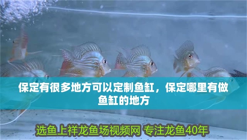 保定有很多地方可以定制魚缸，保定哪里有做魚缸的地方