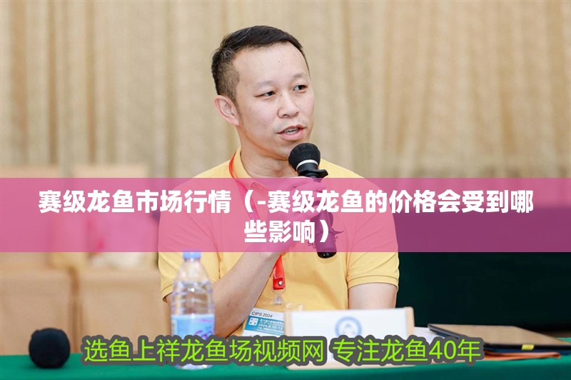 賽級龍魚市場行情（-賽級龍魚的價格會受到哪些影響）