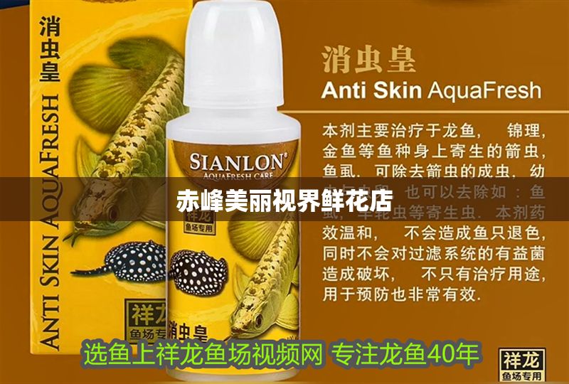 赤峰美麗視界鮮花店 赤峰美麗視界鮮花店 全國水族館企業名錄 第1張