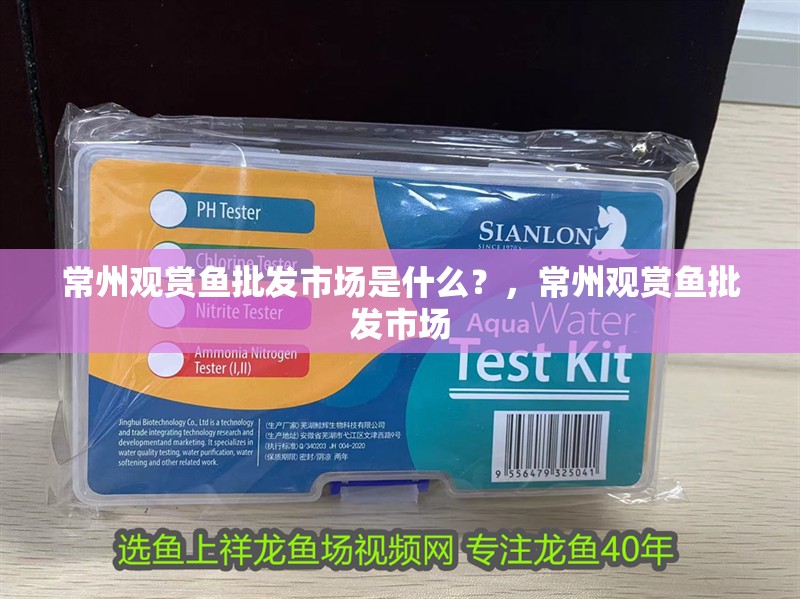 常州觀賞魚批發(fā)市場(chǎng)是什么？，常州觀賞魚批發(fā)市場(chǎng)