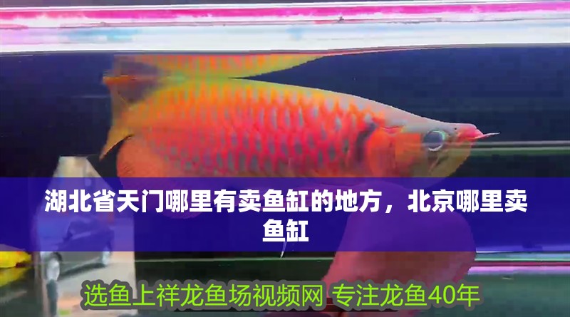 <strong><mark>湖北</mark></strong>省天門哪里有賣魚缸的地方，北京哪里賣魚缸