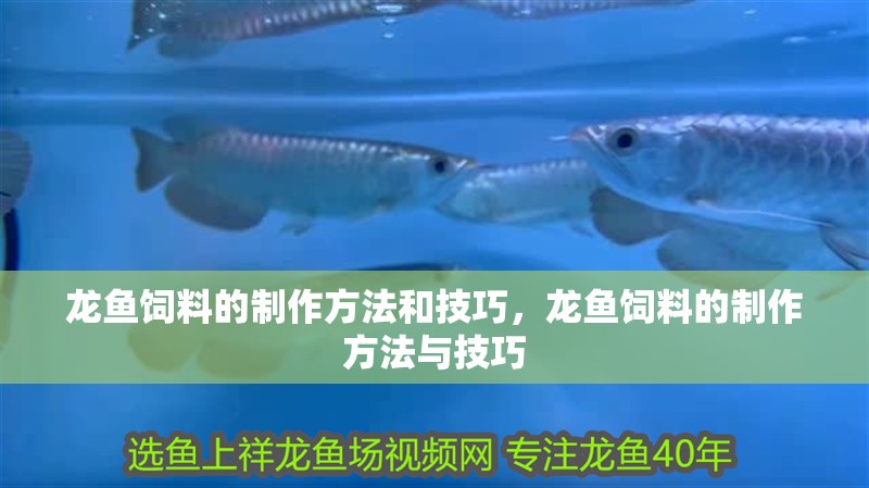 龍魚飼料的制作方法和技巧，龍魚飼料的制作方法與技巧 龍魚飼料的制作方法和技巧，龍魚飼料的制作方法與技巧 觀賞魚百科
