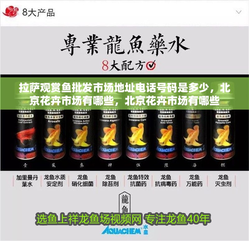 拉薩觀賞魚批發(fā)市場地址電話號碼是多少，<strong><mark>北京</mark></strong>花卉市場有哪些，<strong><mark>北京</mark></strong>花卉市場有哪些