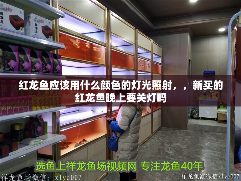 紅龍魚應(yīng)該用什么顏色的燈光照射，，新買的紅龍魚晚上要關(guān)燈嗎