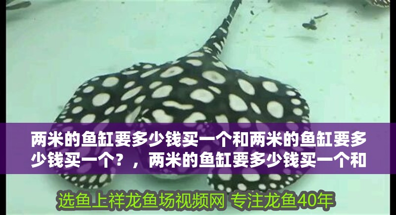 兩米的魚缸要多少錢買一個(gè)和兩米的魚缸要多少錢買一個(gè)？，兩米的魚缸要多少錢買一個(gè)和兩米的魚缸要多少錢一個(gè)