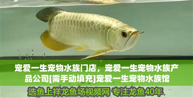 寵愛一生寵物水族門店，寵愛一生寵物水族產(chǎn)品公司[需手動填充]寵愛一生寵物水族館