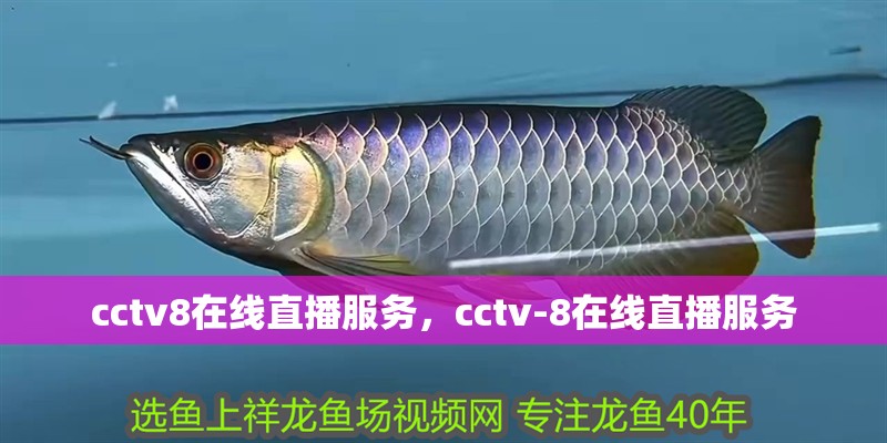 cctv8在線直播服務，cctv-8在線直播服務