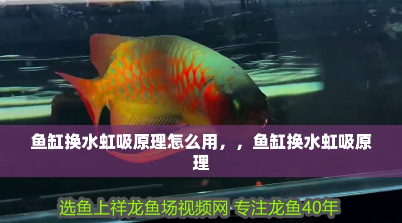 魚缸換水虹吸原理怎么用，，魚缸換水虹吸原理