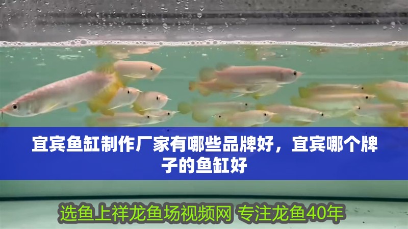 宜賓魚缸制作廠家有哪些品牌好，宜賓哪個牌子的魚缸好