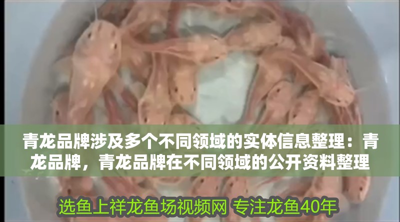 青龍品牌涉及多個不同領域的實體信息整理：青龍品牌，青龍品牌在不同領域的公開資料整理