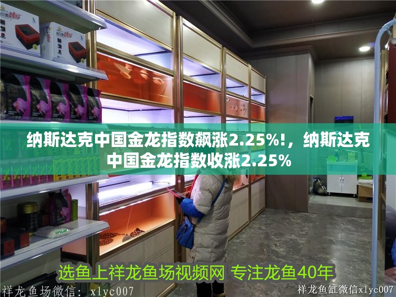 納斯達(dá)克中國金龍指數(shù)飆漲2.25%!，納斯達(dá)克中國金龍指數(shù)收漲2.25%