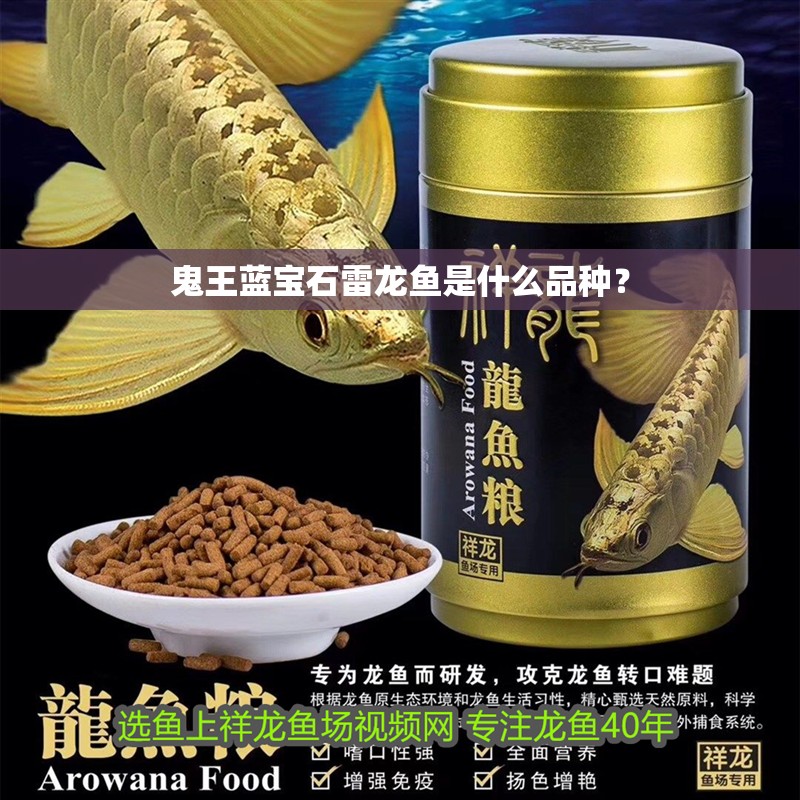 鬼王藍(lán)寶石雷龍魚(yú)是什么品種？
