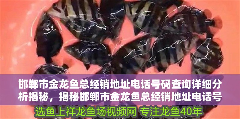 給大魚缸換水的作文:體驗給大魚缸換水的樂趣:體驗給大魚缸換水:給大魚缸換水的作文 邯鄲市金龍魚總經銷地址電話號碼查詢詳細分析揭秘,揭秘邯鄲市金龍魚總經銷地址電話號碼查詢全過程與方法 觀賞魚百科 邯鄲市金龍魚總經銷地址電話號碼查詢詳細分析揭秘,揭秘邯鄲市金龍魚總經銷地址電話號碼查詢全過程與方法 邯鄲市金龍魚總經銷地址電話號碼查詢詳細分析揭秘,揭秘邯鄲市金龍魚總經銷地址電話號碼查詢全過程與方法 觀賞魚百科