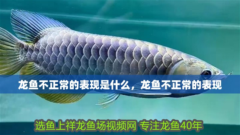 龍魚不正常的表現(xiàn)是什么，龍魚不正常的表現(xiàn)