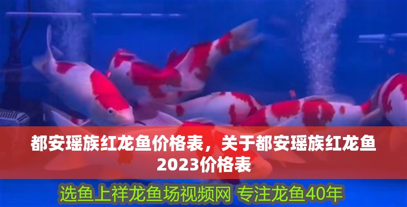 都安瑤族紅龍魚價格表，關(guān)于都安瑤族紅龍魚2023價格表