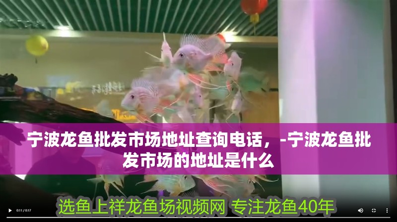 寧波龍魚批發市場地址查詢電話，-寧波龍魚批發市場的地址是什么