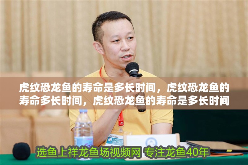 虎紋恐龍魚的壽命是多長時間，虎紋恐龍魚的壽命多長時間，虎紋恐龍魚的壽命是多長時間