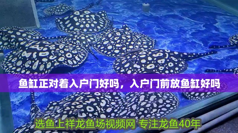 魚(yú)缸正對(duì)著入戶門好嗎，入戶門前放魚(yú)缸好嗎