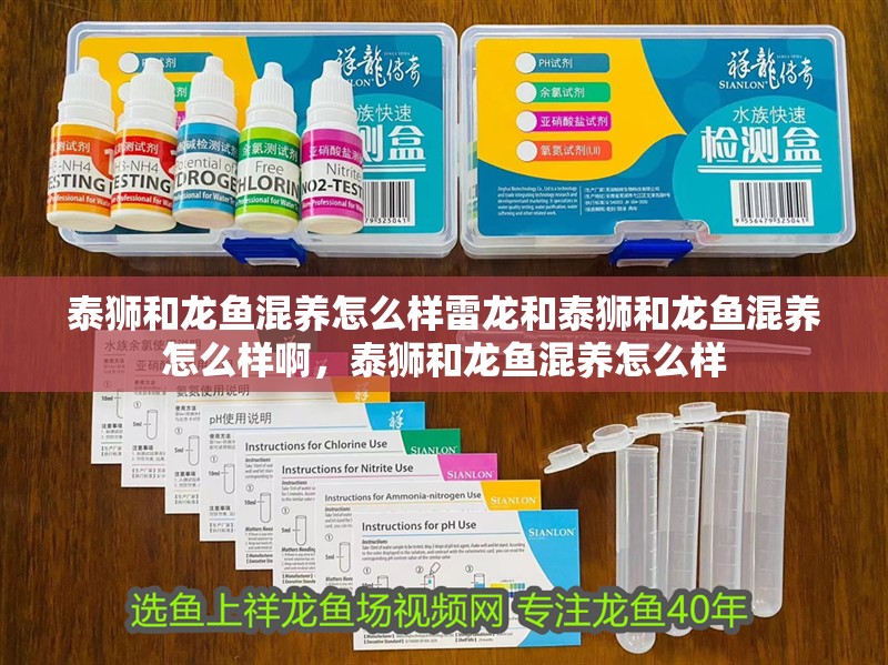 泰獅和龍魚混養怎么樣雷龍和泰獅和龍魚混養怎么樣啊，泰獅和龍魚混養怎么樣